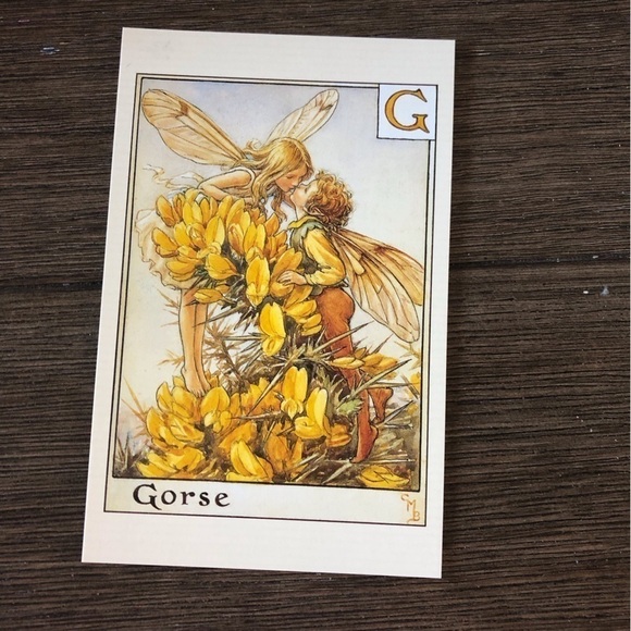 Garden Flower Fairies by: Cicely Mary Barker postcard set #9 - Picture 6 of 7